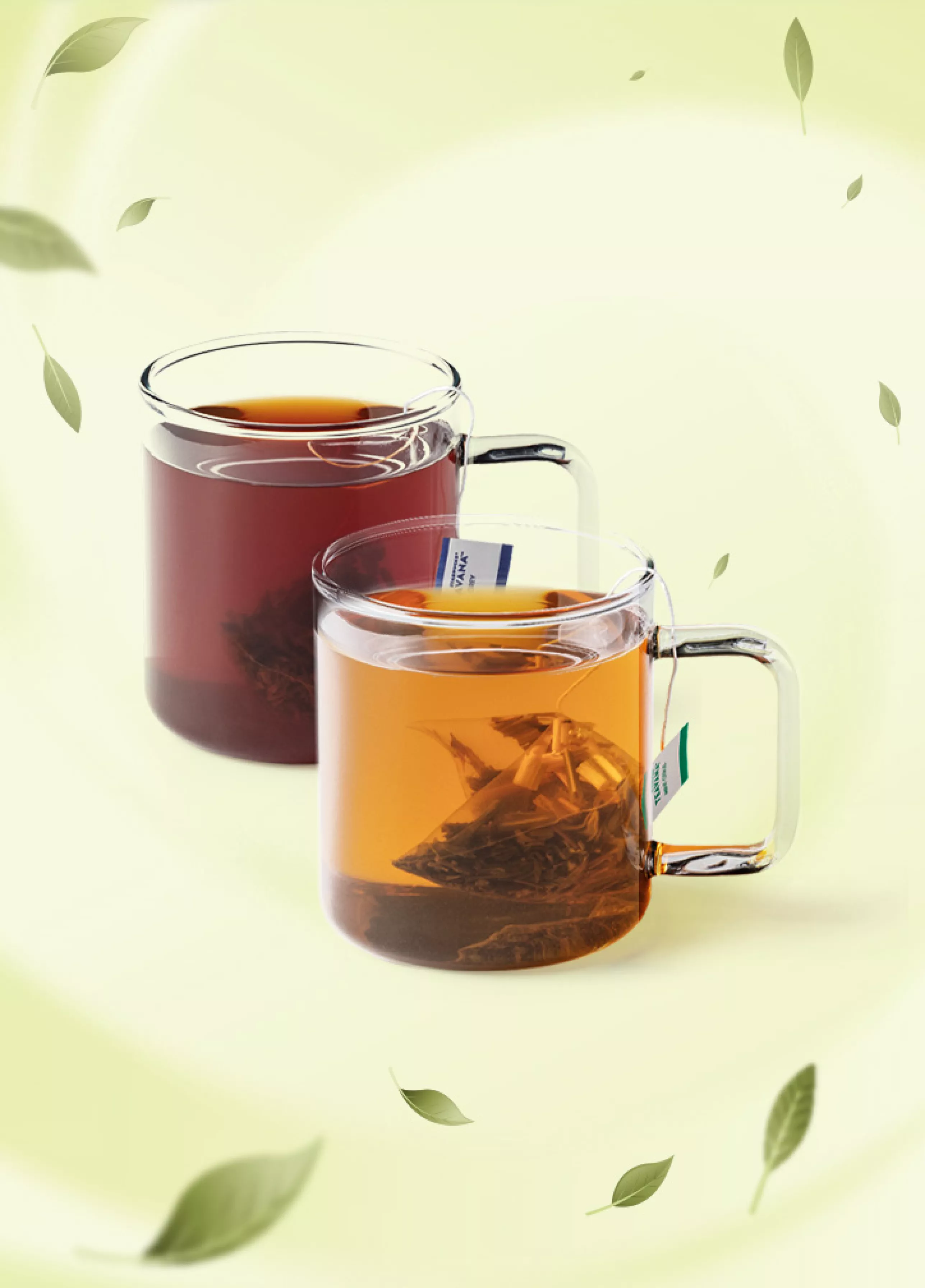 Teavana_Banner