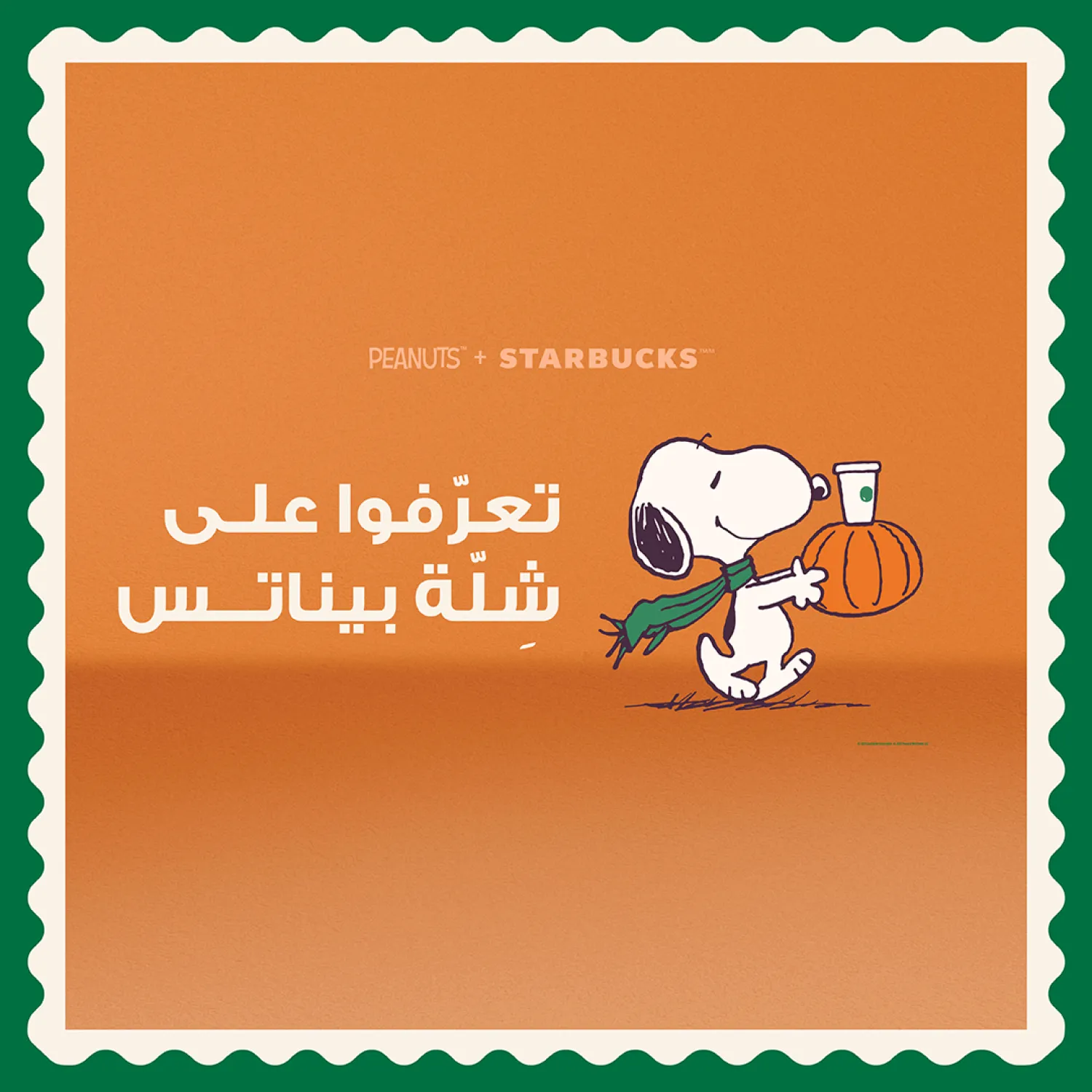 تشكيلة سنوبي وصلت! 🐾💚